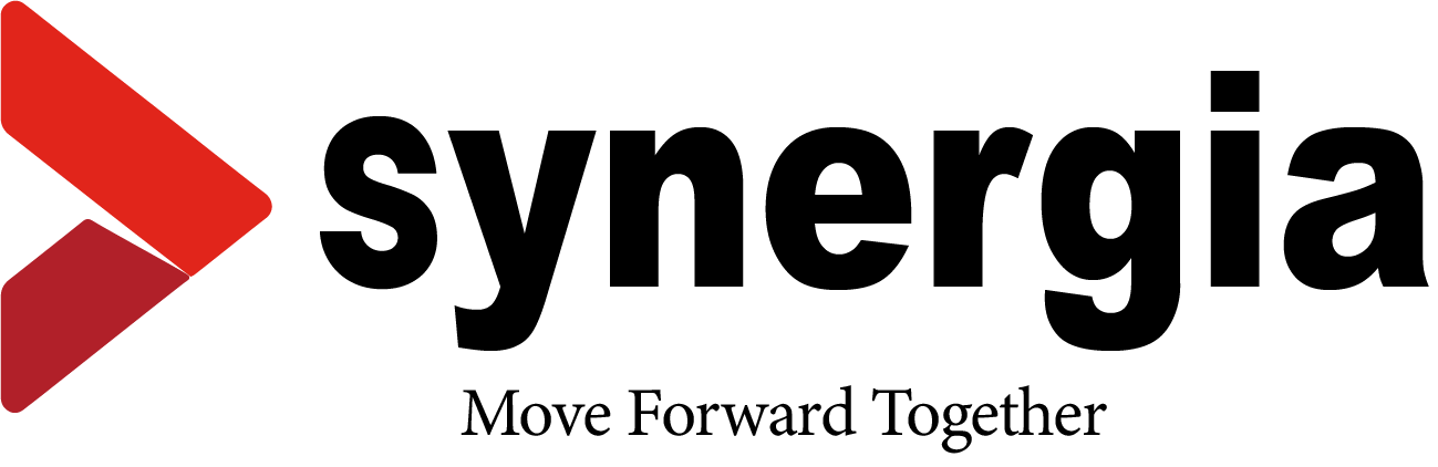 synergia.com.pk