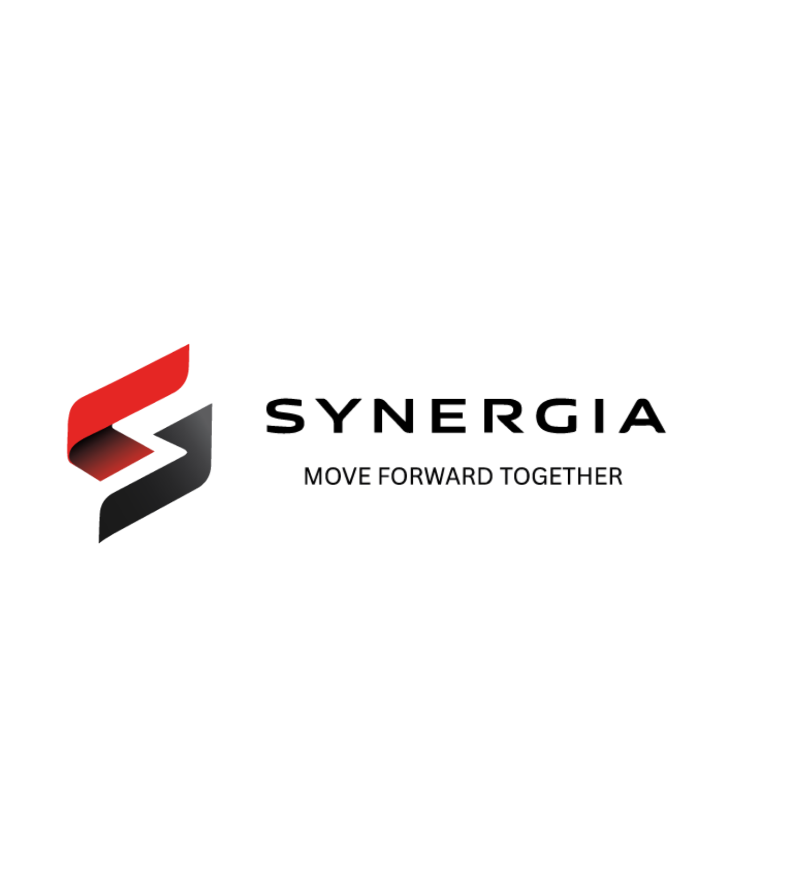 synergia.com.pk